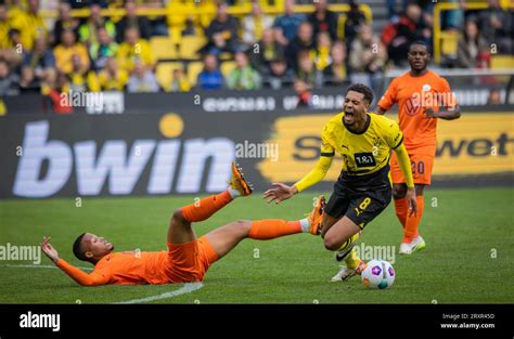 Dortmund Germany 23rd Sep 2023 Felix Nmecha BVB Borussia Dortmund