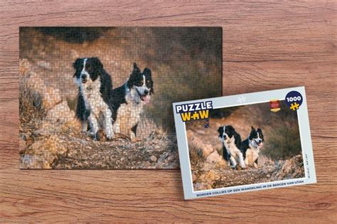 Puzzel Border Collies Op Een Wandeling In De Bergen Van Utah