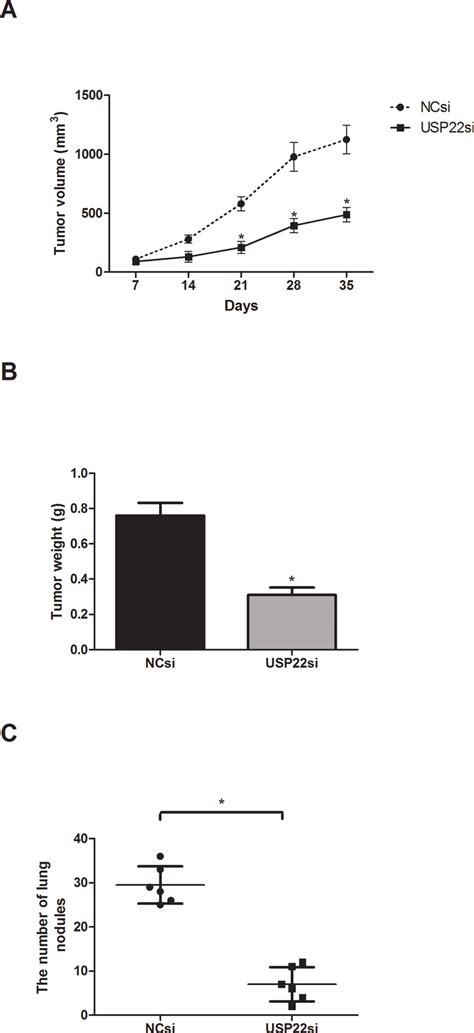 Downregulation Of Usp Inhibited Os Tumor Growth And Metastasis In