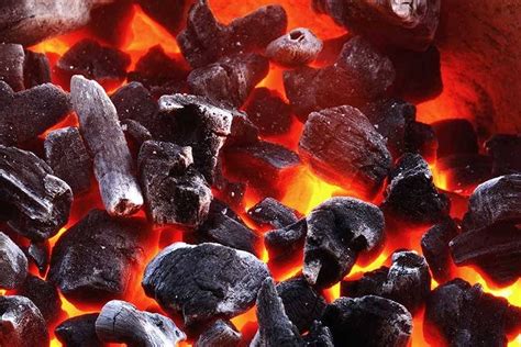 Restaurant Grade Charcoal 10kg The Firewood Company Cape Town