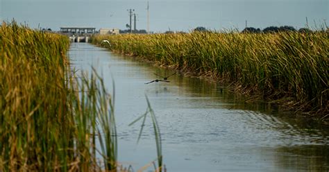 Dyk Sfwmd Is Working To Enhance The Resiliency Of South Florida S