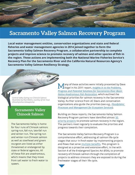 Improving Conditions For Salmon The Sacramento Valley Salmon Recovery