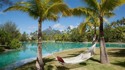 Luxury Resort Hotel in Bora Bora | The St. Regis Bora Bora Resort