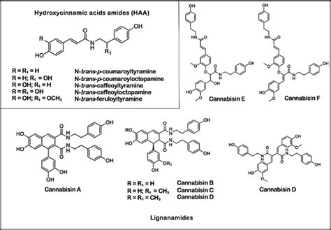 Chemical Structure Of Known Lignanamides And Hydroxycinnamic Acids