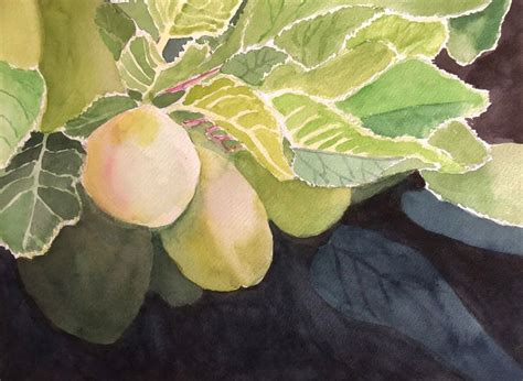 Plums Watercolor 2018 Kris Warrenburg Plant Leaves Plants Watercolor