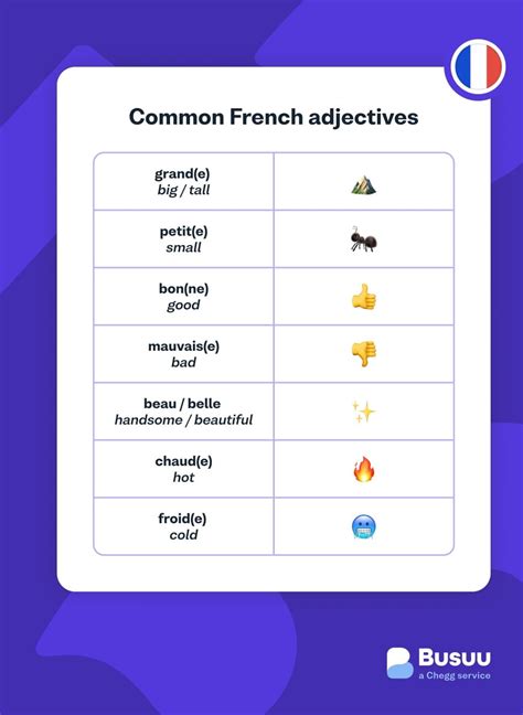 French Adjectives. An Easy Guide for Beginners - Busuu