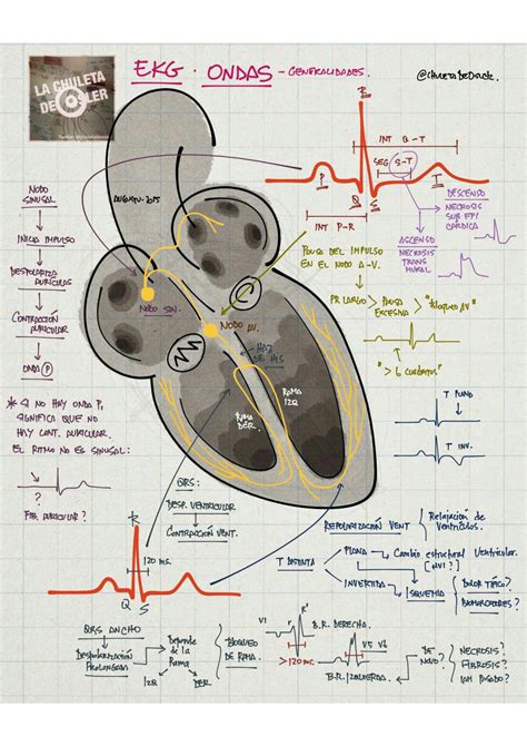 Solution Resumen Fisiologia Sist Cardiaco Studypool