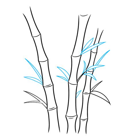 How To Draw Bamboo Really Easy Drawing Tutorial