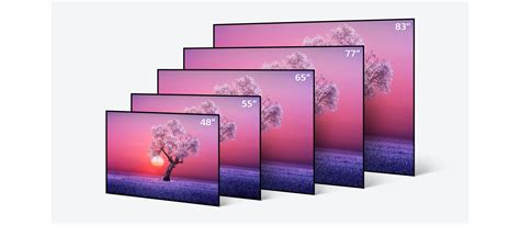 Sale > oled c1 65 > in stock