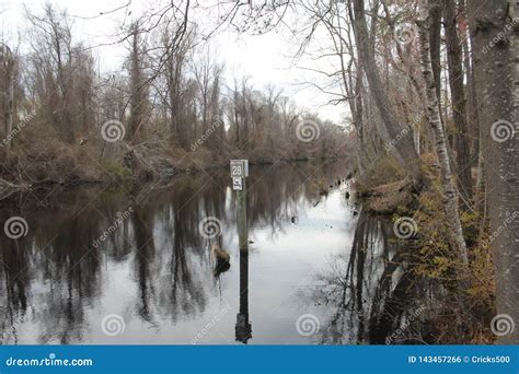 Great Dismal Swamp Canal Stock Photography | CartoonDealer.com #27748946