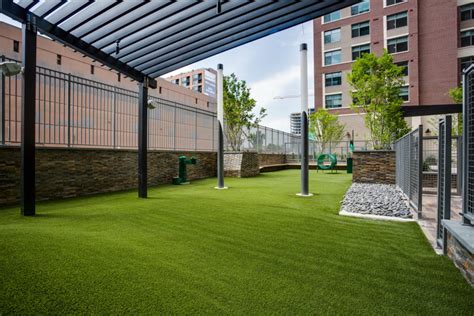 dog parks attract dog lovers complete landscaping