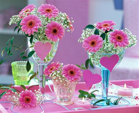 Gerbera Und Gypsophila Schleierkraut Bild Kaufen