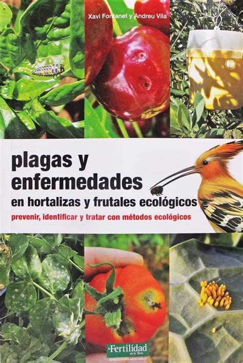 Plagas Y Enfermedades En Hortalizas Y Frutales Ecol Gicos Terra Org