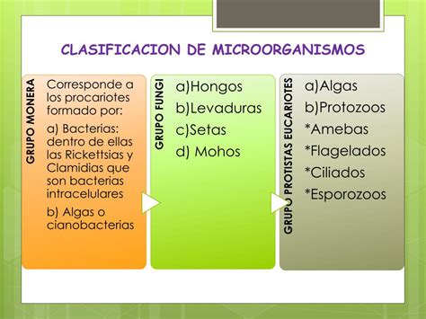 Clasificacion De Los Microorganismosppt Las Bacterias Biologia Images