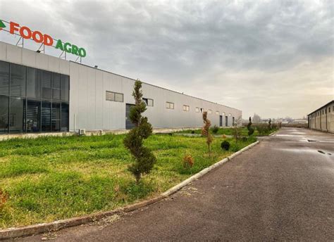 Food Agro — Выращиваем, сушим и продаем фрукты по всему миру оптом