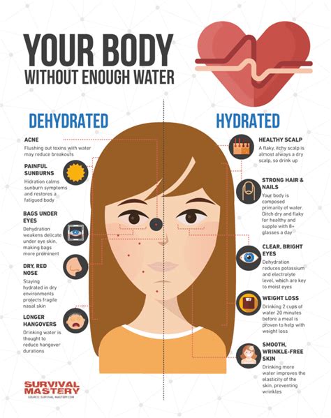 How Long Can You Live Without Food And Water Important Facts