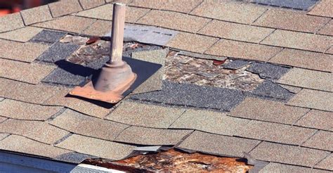 Roof Maintenance Tips