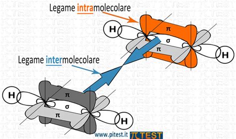 4 10 I Legami Intermolecolari PiTest