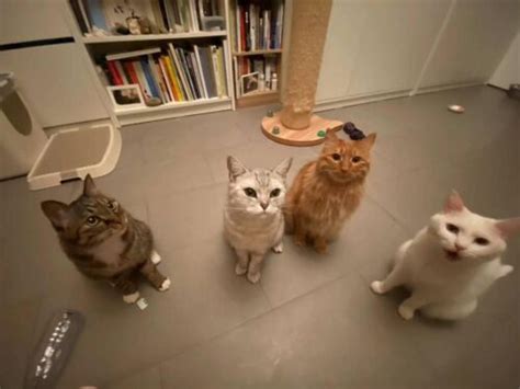 Voices From China S Lesbian Community The China Project