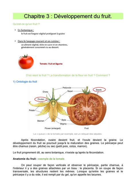 Cm Physiologie V G Tale Chapitre D Veloppement Du Fruit Qu Est