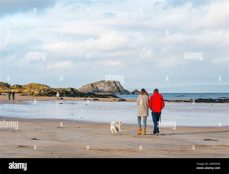 Hund Und Lamm Am Strand Stockfotos Und Bilder Kaufen Alamy