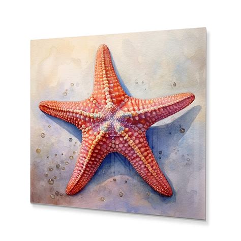 Dovecove Spinny Starfish Iii Coastal Metal Wall Art Wayfair
