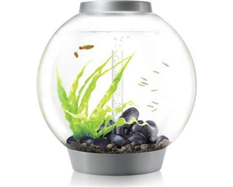 Aquarium Biorb Classic Mcr Liter Zilver Koop Nu Bij Haxo