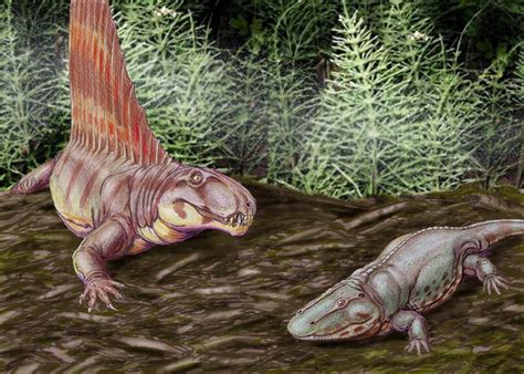 Exploring The Environmental Ruin Of The Permian Mass Extinction