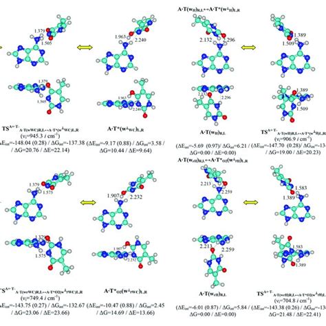 Discovered New Reaction Pathways Of The T Mutagenic Tautomerization