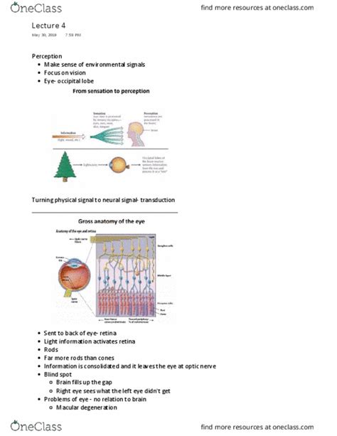 Psyb55h3 Lecture 4 Lec 4 Oneclass