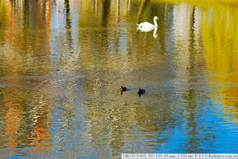 Review Nikon D40x | Happy