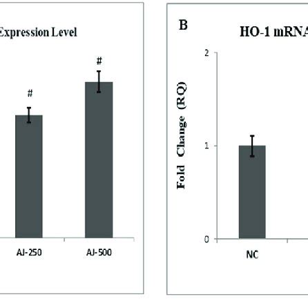 Protective Effect Of AJ On Relative MRNA Expression Of Nrf 2 And HO 1