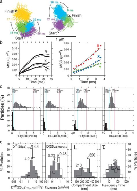 Rapid Hop Diffusion Of A G Protein Coupled Receptor In The Plasma