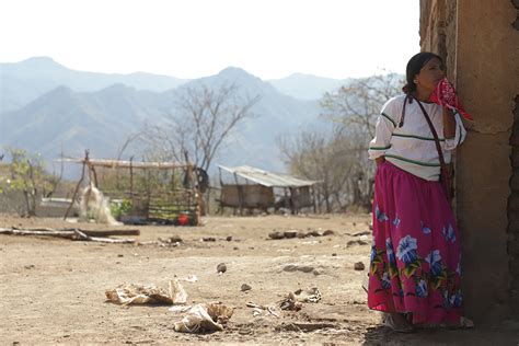 La Comunidad De El Nayar De La Sierra Nayarita Fotos Grupo Milenio