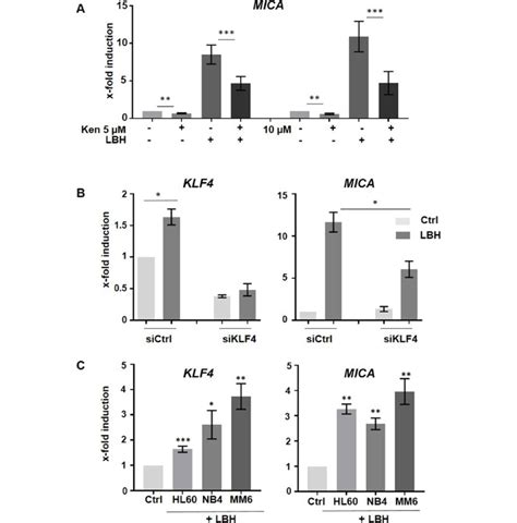 Lbh589 Mediated Mica Upregulation Is Diminished In Klf4 Depleted Cells