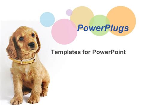 Dog Powerpoint Template