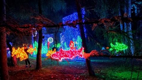 Lumina Park W Poznaniu MYzwiedzaMY