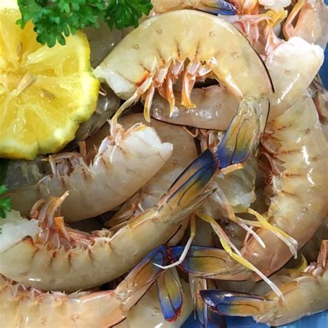 Prawn Tails Raw Mackay Fish Market