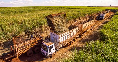 Sistema Faesp Senar Sp Participa Da Fenasucro Agrocana Faesp