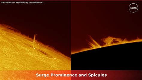 Spicules Sun