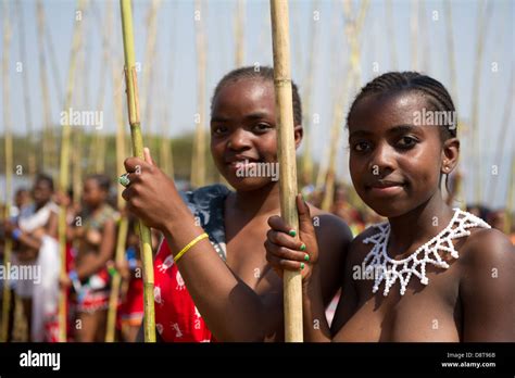 Zulu Doncellas Entregar Reed Palos Al Rey Zulú De Baile En Palacio