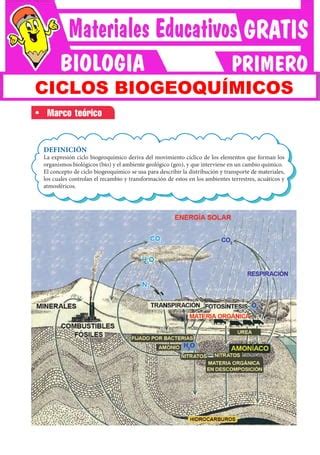 Ciclos Biogeoqu Micos Para Primero De Secundaria Pdf