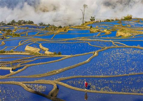 3 Days Yuanyang Rice Terraces Hiking And Photography Tour From Kunming