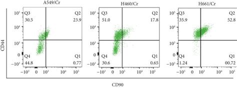 Increased Lcsc Markers In Cisplatin Resistant Lung Cancer Cell Lines Download Scientific