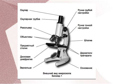 История создания микроскопа - online presentation