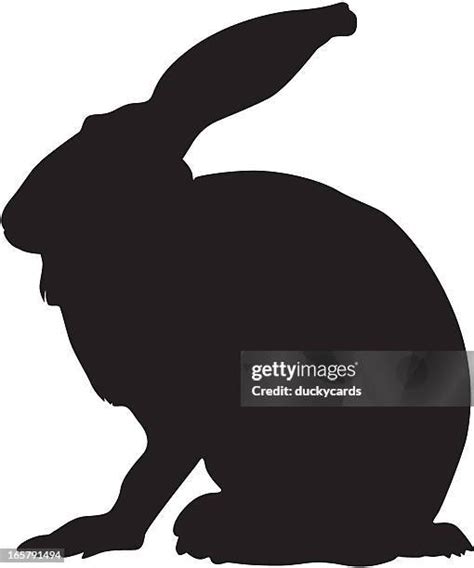 85 Jackrabbit High Res Illustrations - Getty Images