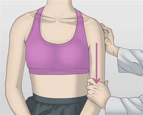 Shoulder Exam Tutorial Stanford Medicine Stanford Medicine