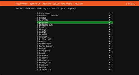 Ubuntu Server Instalación Y Configuración Ionos España