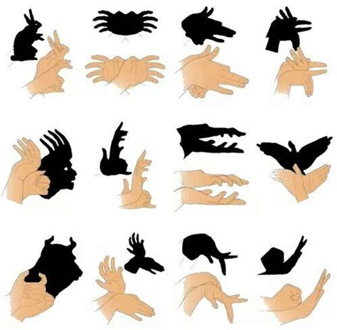 Pin de Celia Prieto en Sombras | Sombras con las manos, Sombras de ...