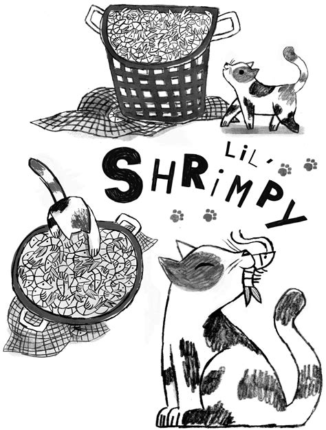 Shrimp Cat Cait Brennan Illustration